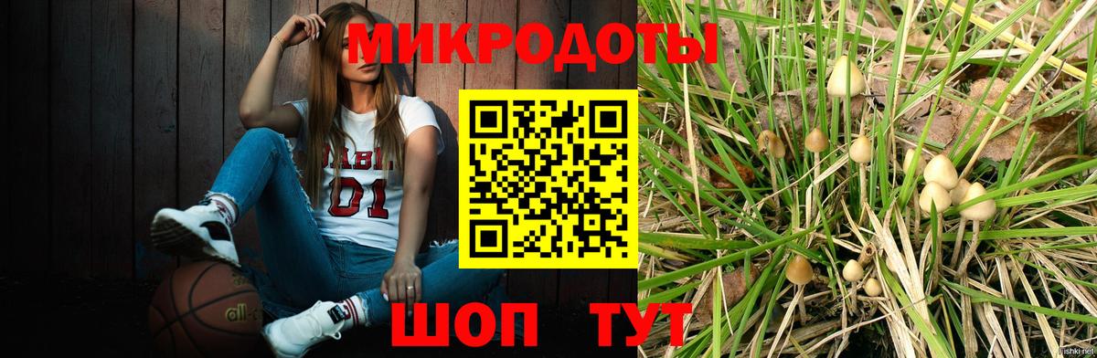 Псилоцибиновые грибы Psilocybine cubensis  Вход с VPN  Ливны 